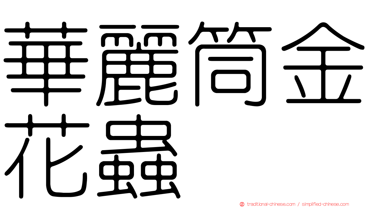 華麗筒金花蟲