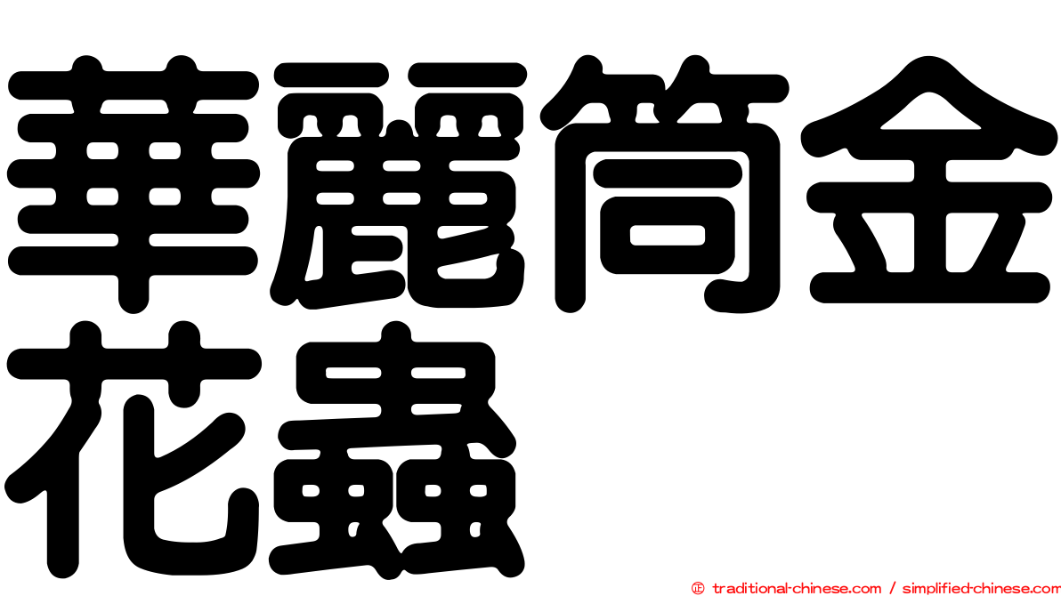 華麗筒金花蟲
