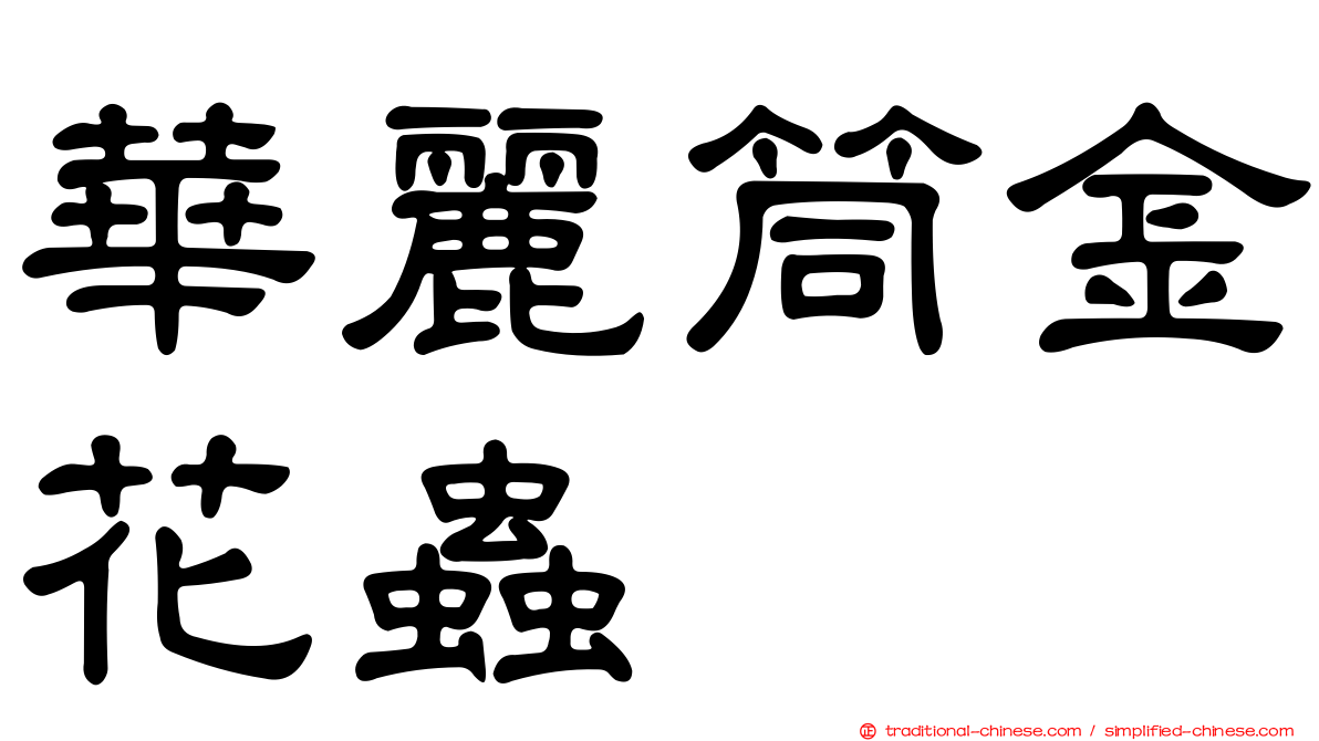 華麗筒金花蟲