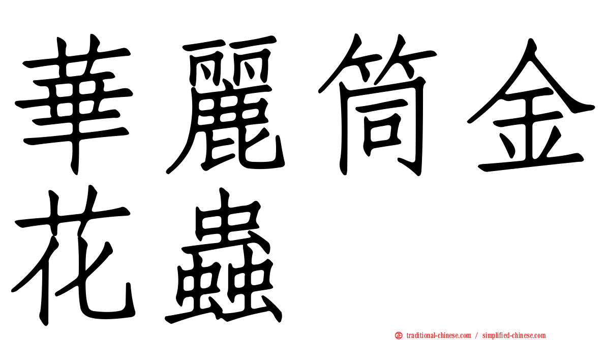 華麗筒金花蟲