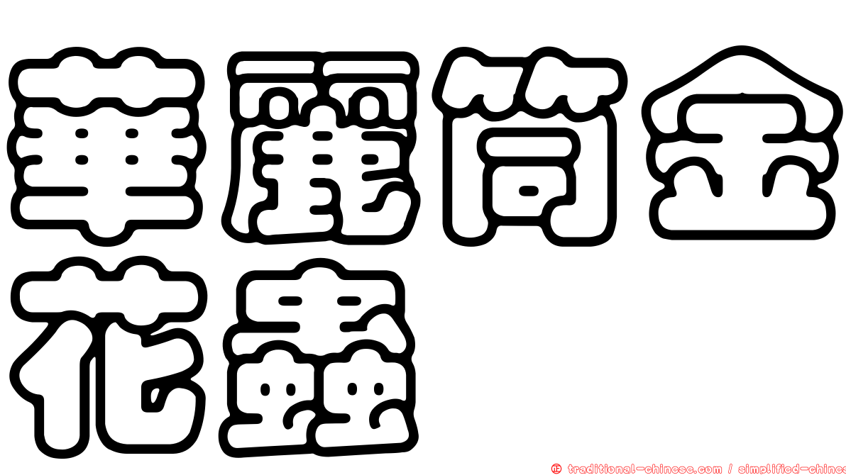 華麗筒金花蟲