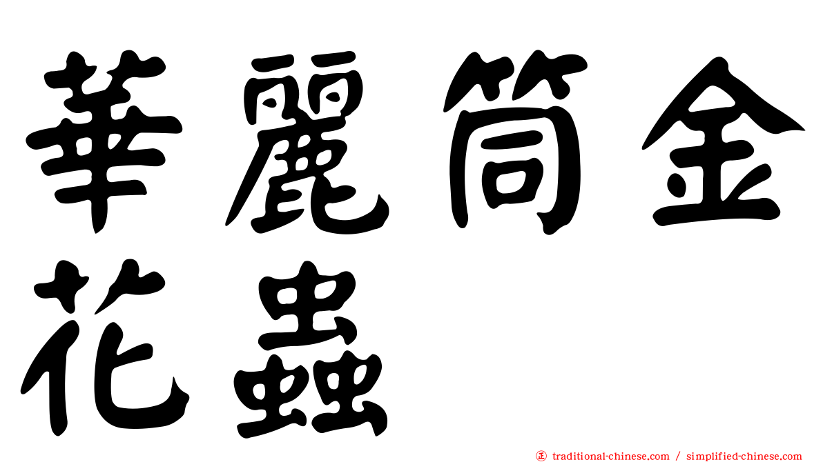 華麗筒金花蟲