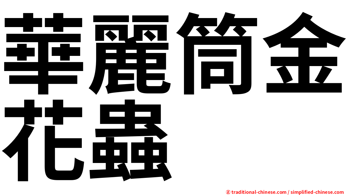 華麗筒金花蟲
