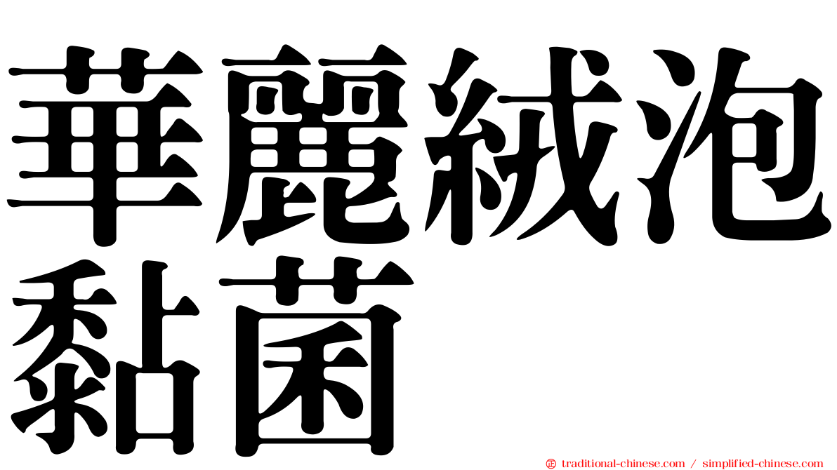華麗絨泡黏菌