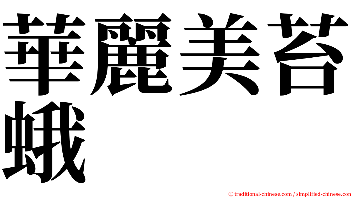 華麗美苔蛾 serif font