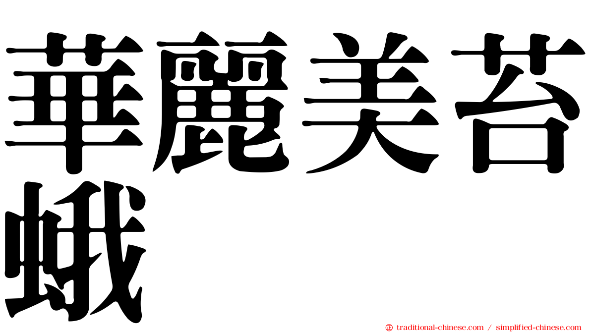 華麗美苔蛾