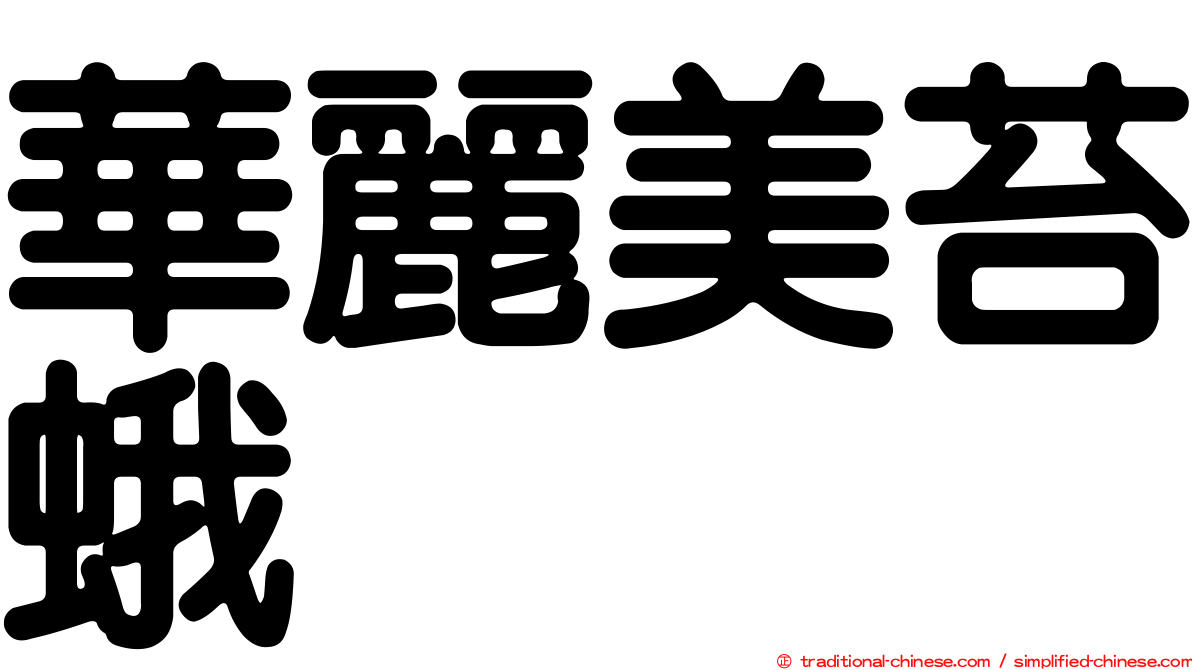華麗美苔蛾