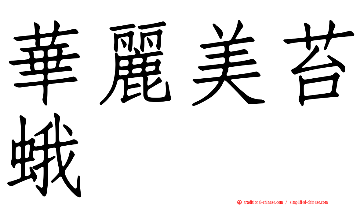 華麗美苔蛾