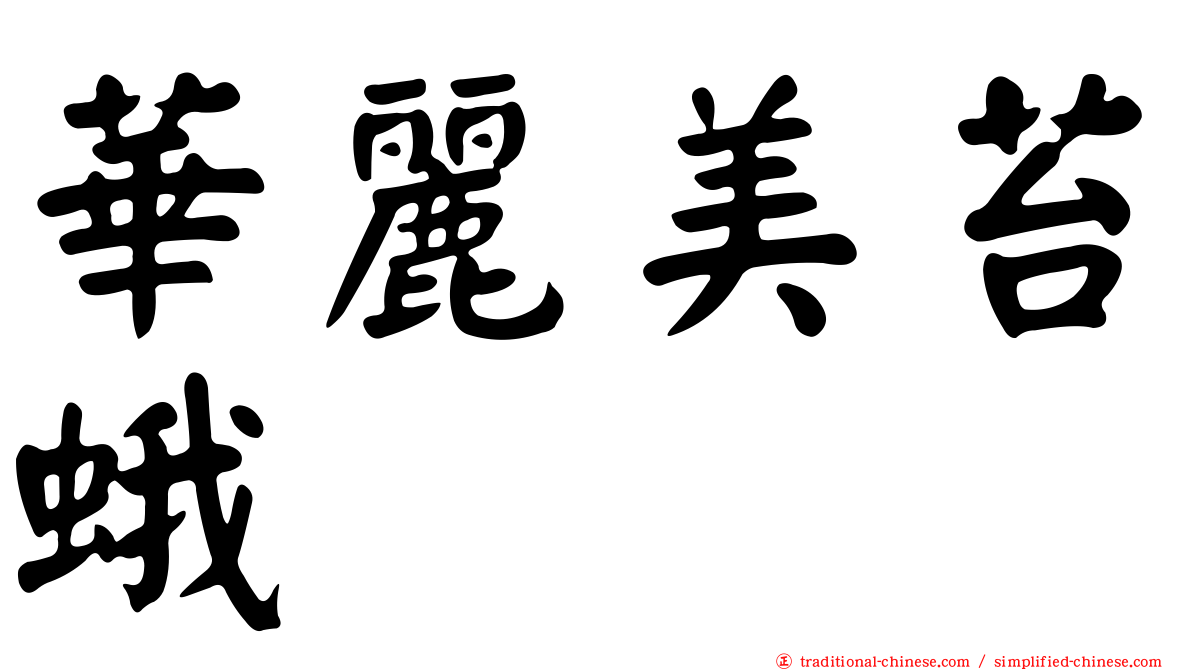 華麗美苔蛾