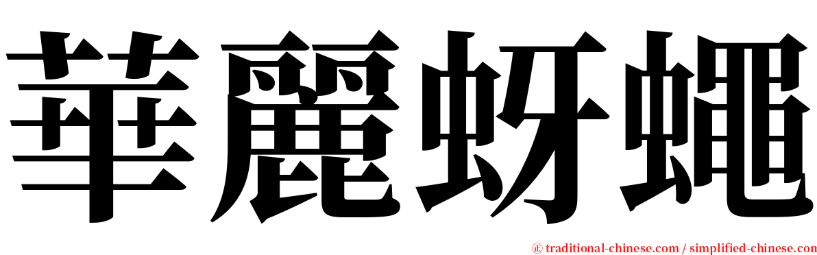 華麗蚜蠅 serif font