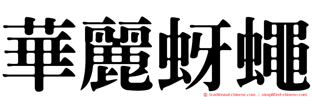 華麗蚜蠅
