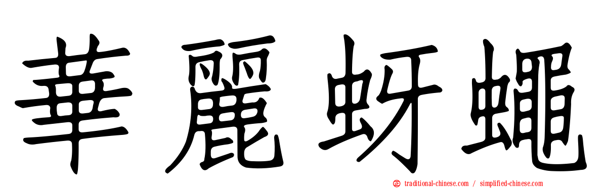 華麗蚜蠅