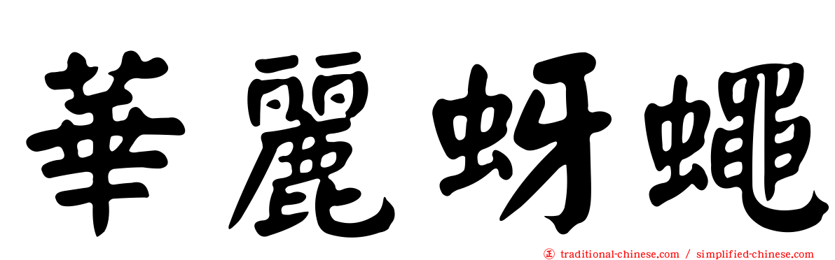 華麗蚜蠅