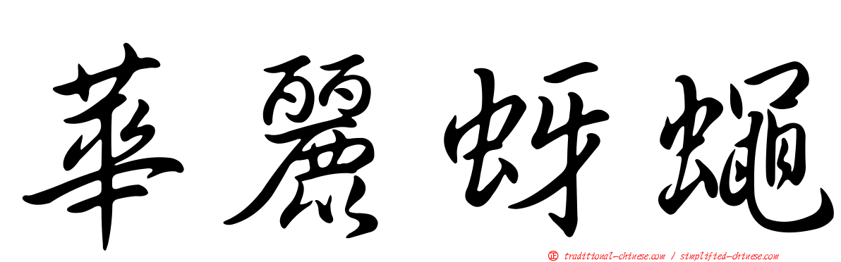 華麗蚜蠅