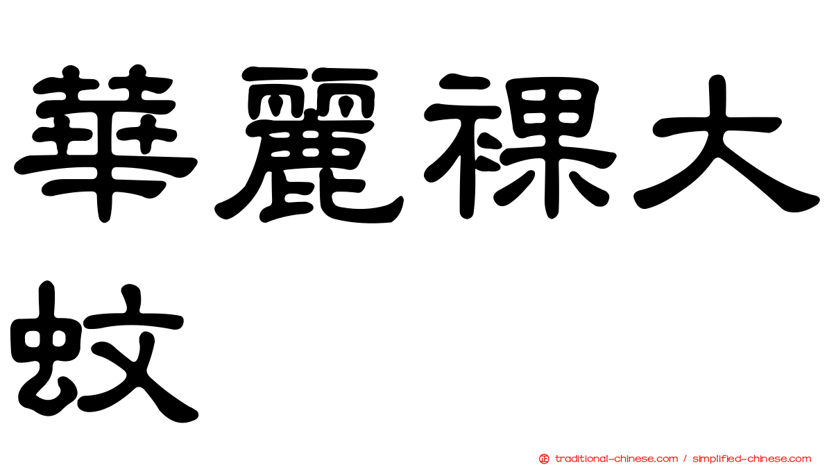 華麗裸大蚊