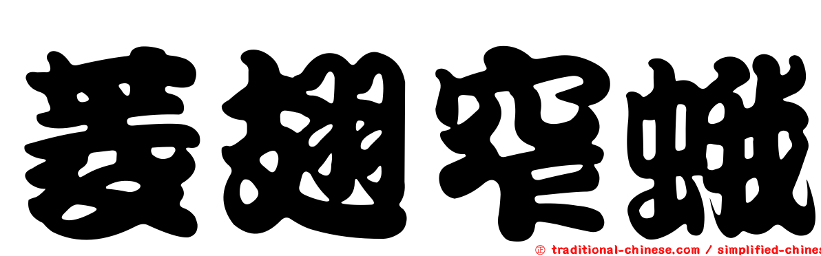 菱翅窄蛾