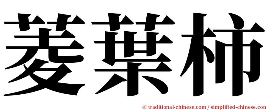 菱葉柿 serif font