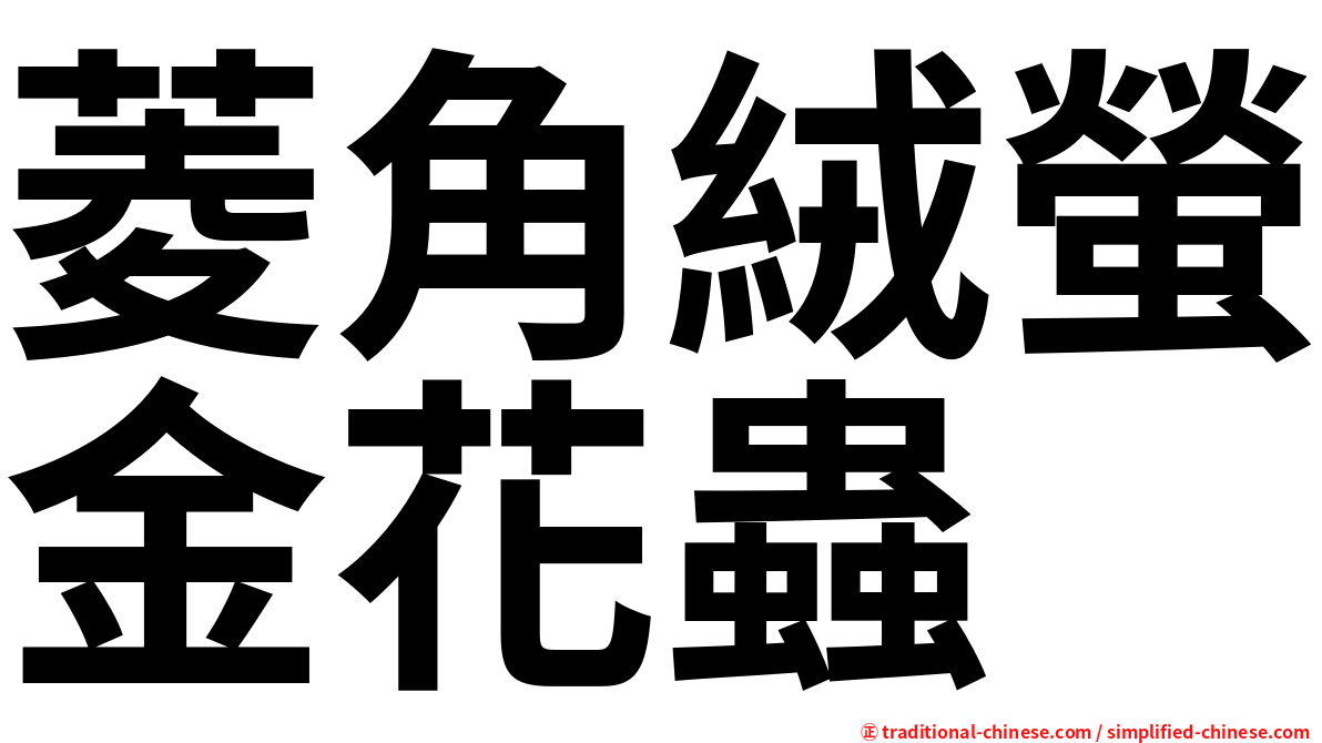菱角絨螢金花蟲