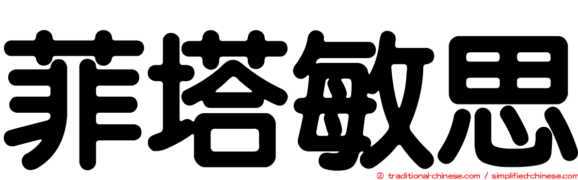 菲塔敏思