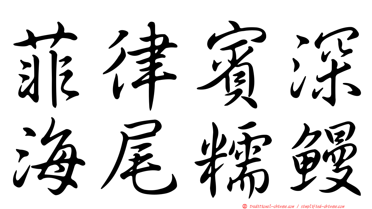 菲律賓深海尾糯鰻