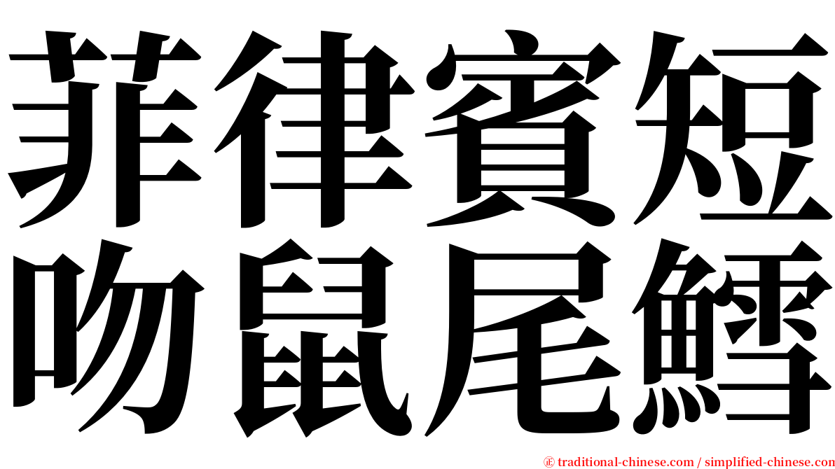 菲律賓短吻鼠尾鱈 serif font