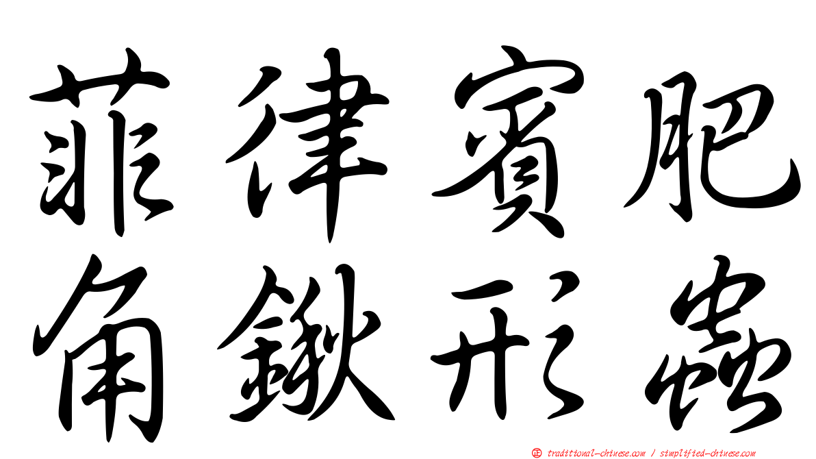 菲律賓肥角鍬形蟲