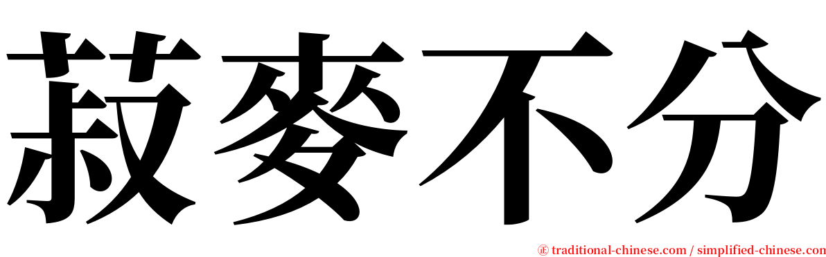 菽麥不分 serif font