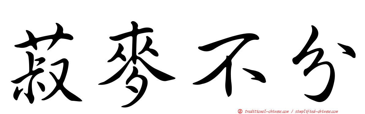 菽麥不分