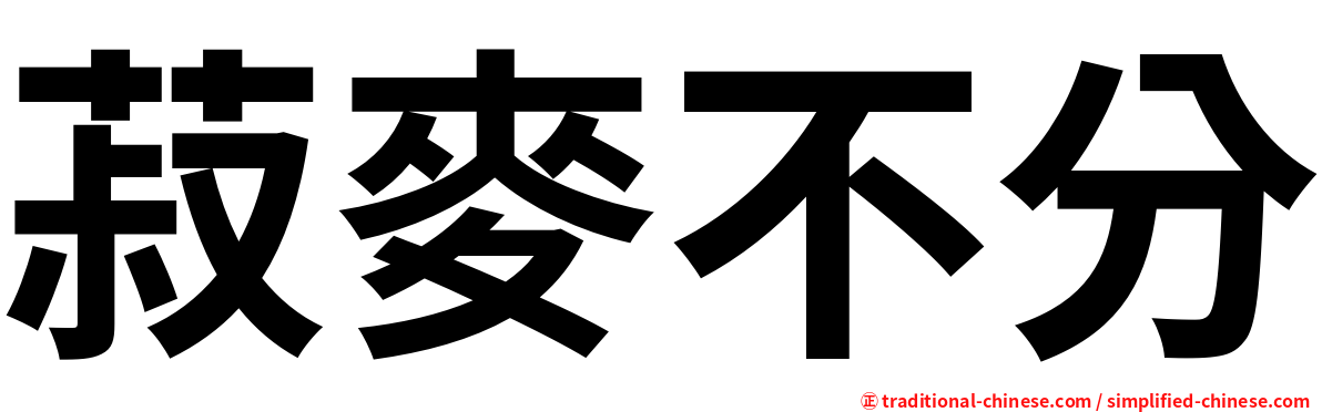 菽麥不分