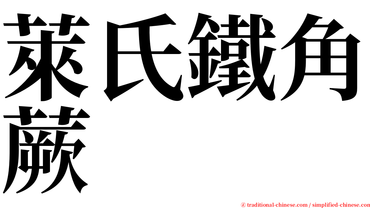 萊氏鐵角蕨 serif font