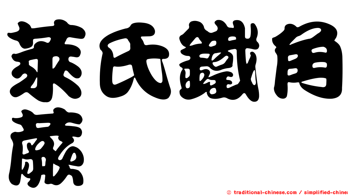 萊氏鐵角蕨