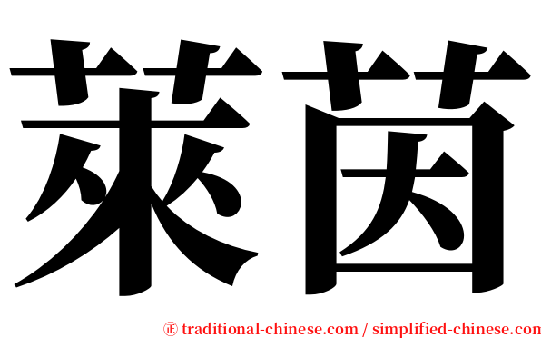 萊茵 serif font