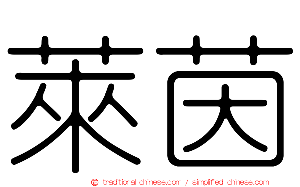 萊茵