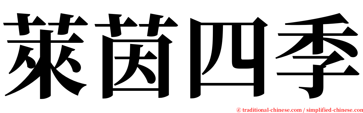 萊茵四季 serif font