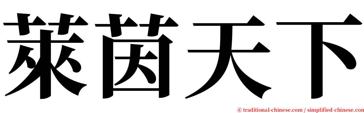 萊茵天下 serif font