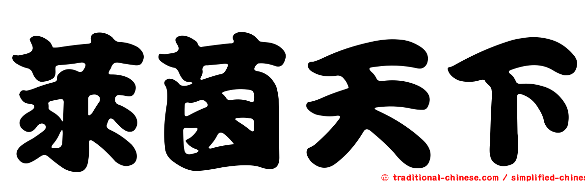 萊茵天下