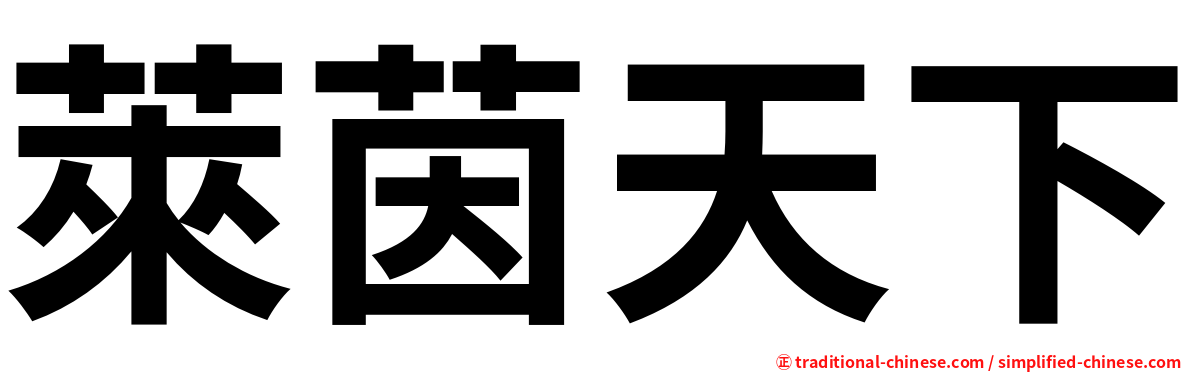 萊茵天下