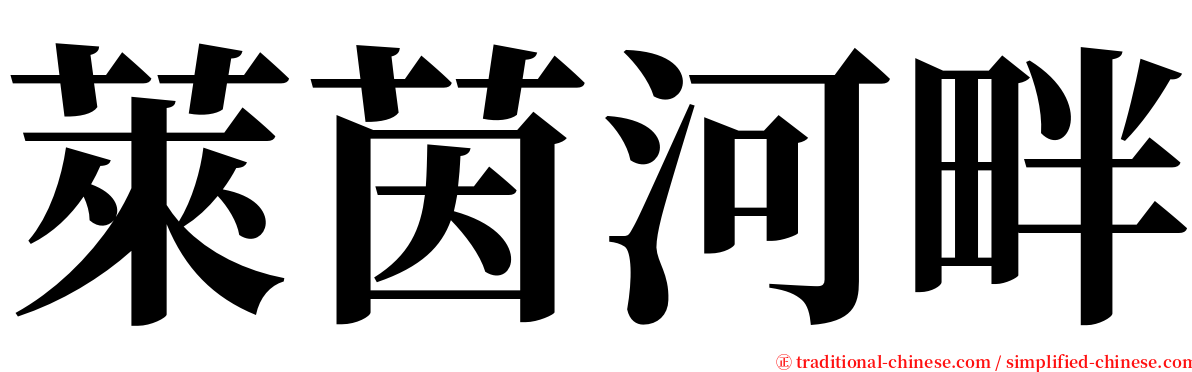 萊茵河畔 serif font