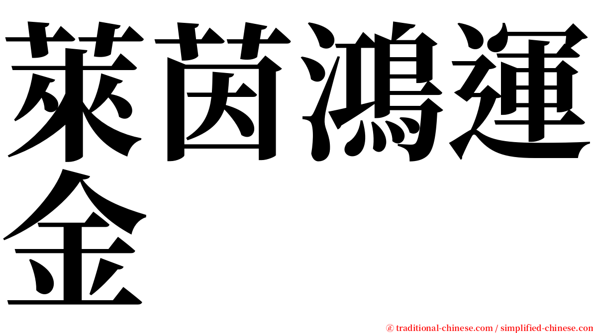 萊茵鴻運金 serif font