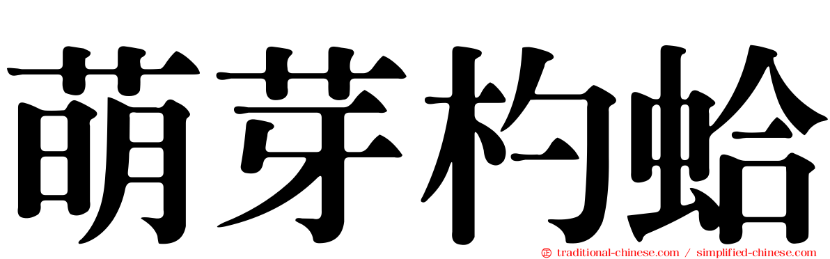 萌芽杓蛤