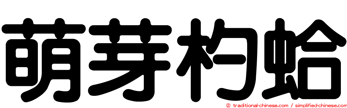 萌芽杓蛤