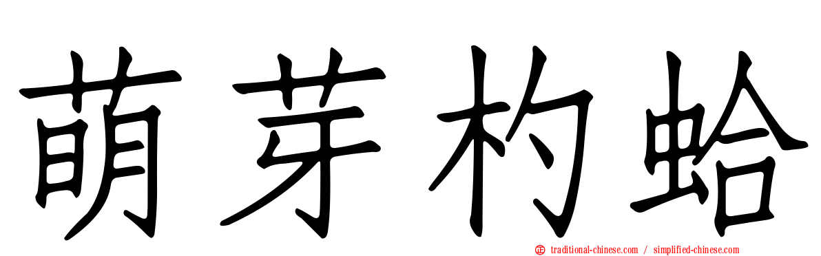 萌芽杓蛤