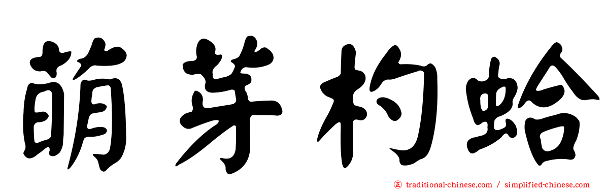 萌芽杓蛤