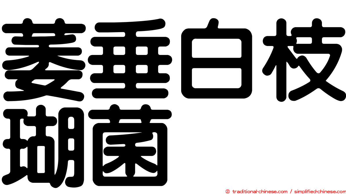 萎垂白枝瑚菌