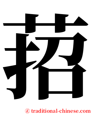 萔 serif font