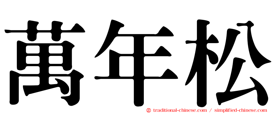 萬年松