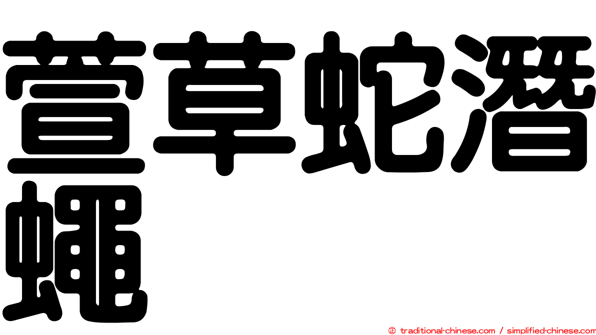 萱草蛇潛蠅