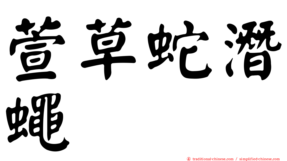 萱草蛇潛蠅