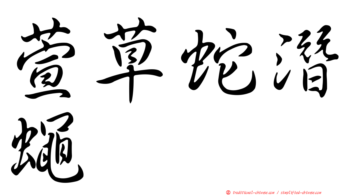 萱草蛇潛蠅