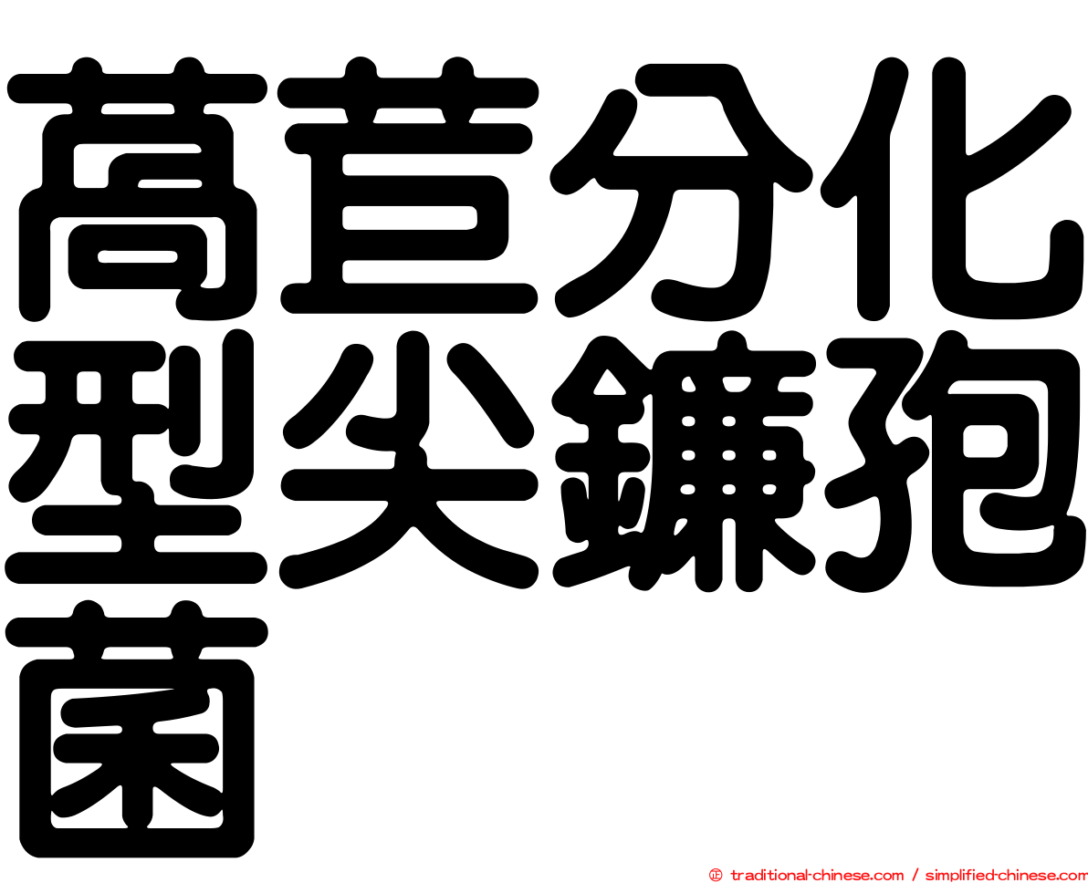 萵苣分化型尖鐮孢菌